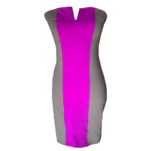David Lerner Strapless Colorblock Bodycon Dress